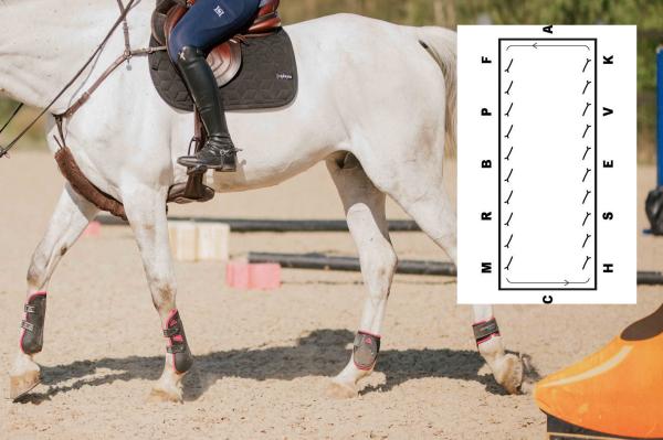 Peter Härnstam: "Skritta mera!"