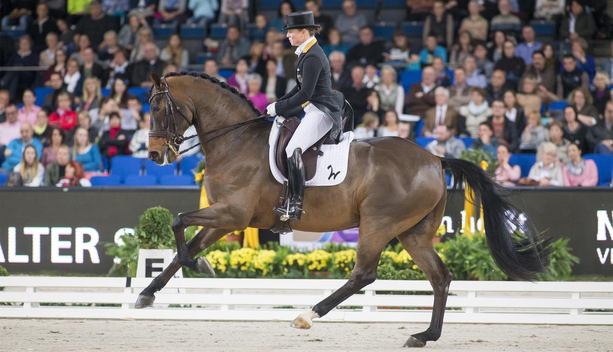 Isabell Werth och Don Johnson i Stuttgart 2015. Foto: Tomas Holcbecher
