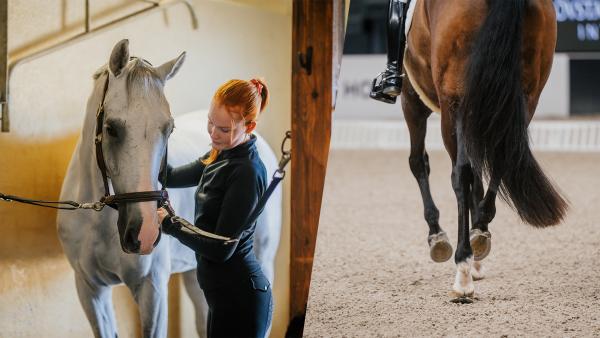 Arkivfoton: Ida Lindemann