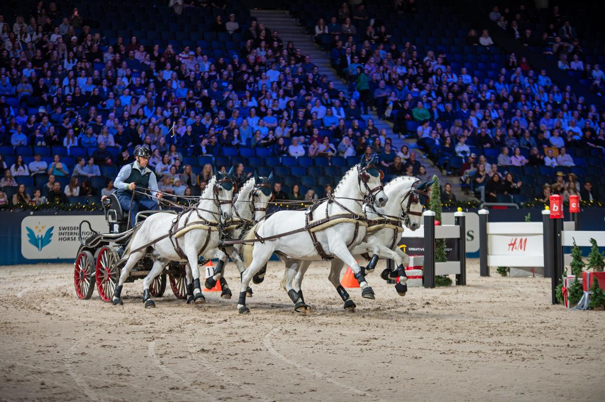 Fredrik Persson och hans fyrspann under Sweden International Horse Show detta året. Foto: Jennie Börs