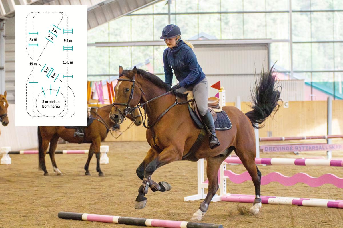 Utveckla hästens galopp, rytm och bjudning