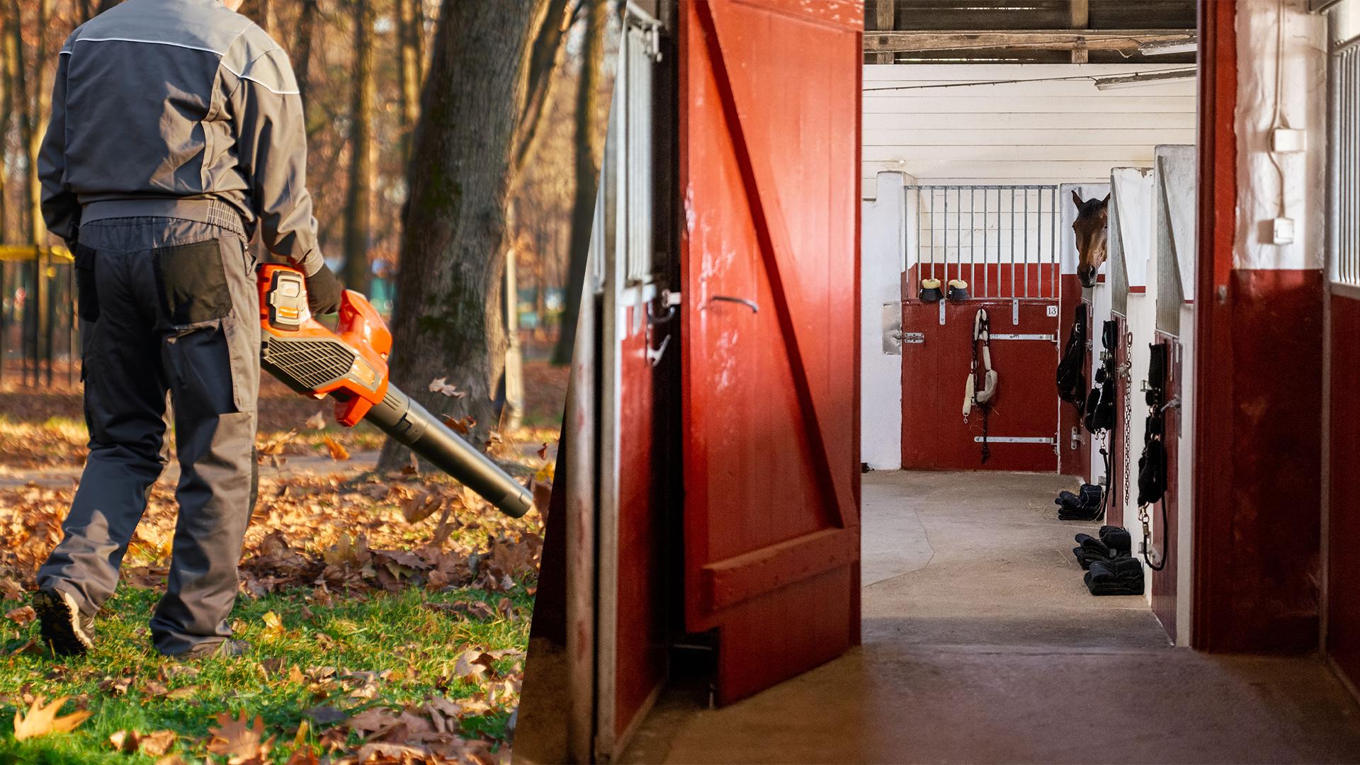 Arkivfoton: Adobe stock och Mathilda Ahlberg/Bildbyrån