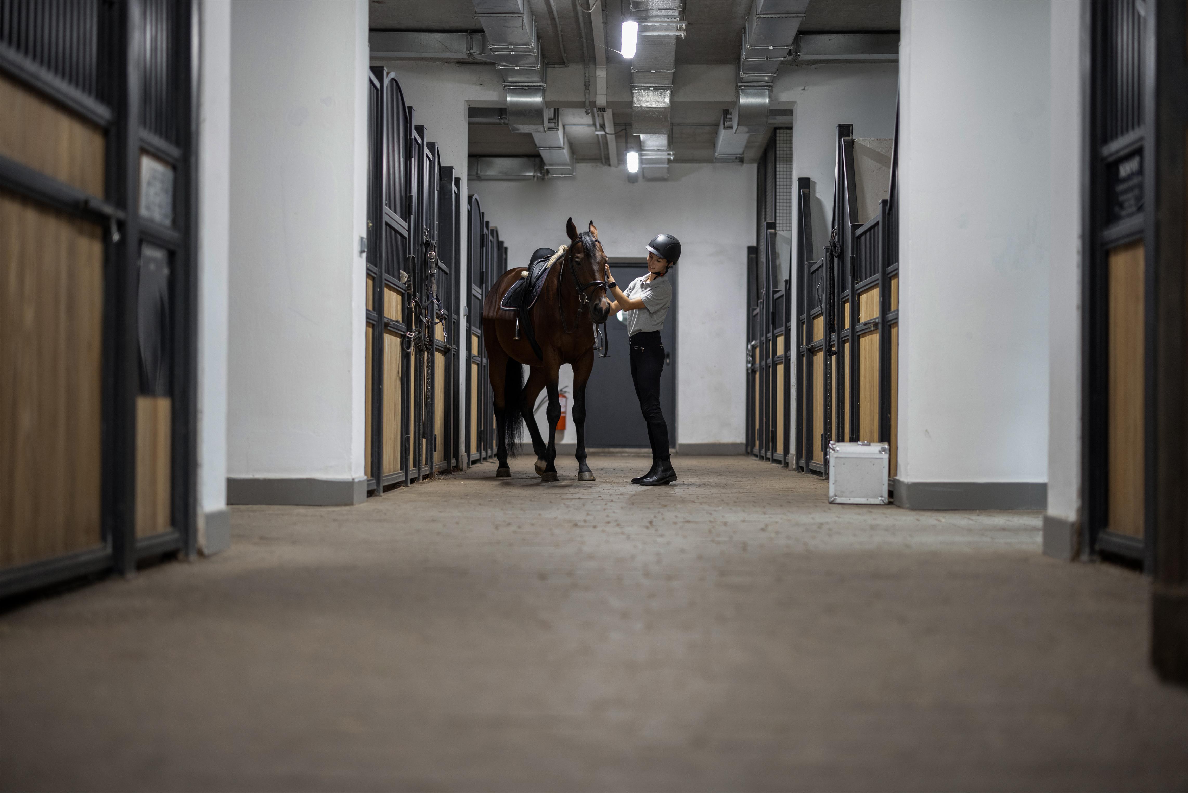 Arkivfoto: Adobe stock