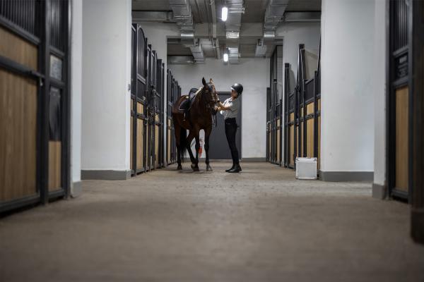 Arkivfoto: Adobe stock