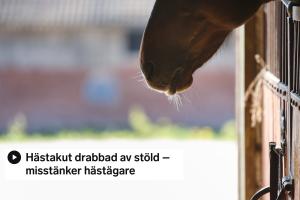 Arkivfoto: Adobe stock