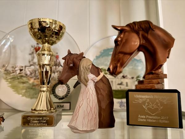 Bakom stängda stalldörrar