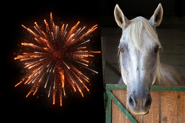 Arkivbild: Adobe Stock