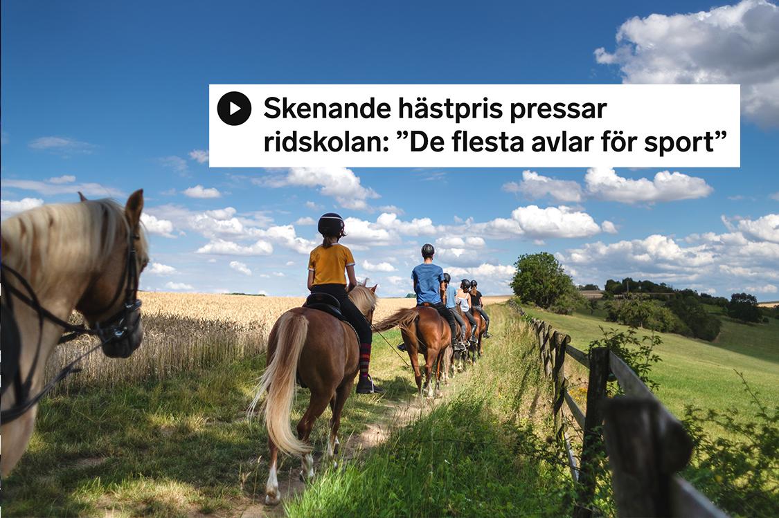 Arkivbild: Adobe Stock