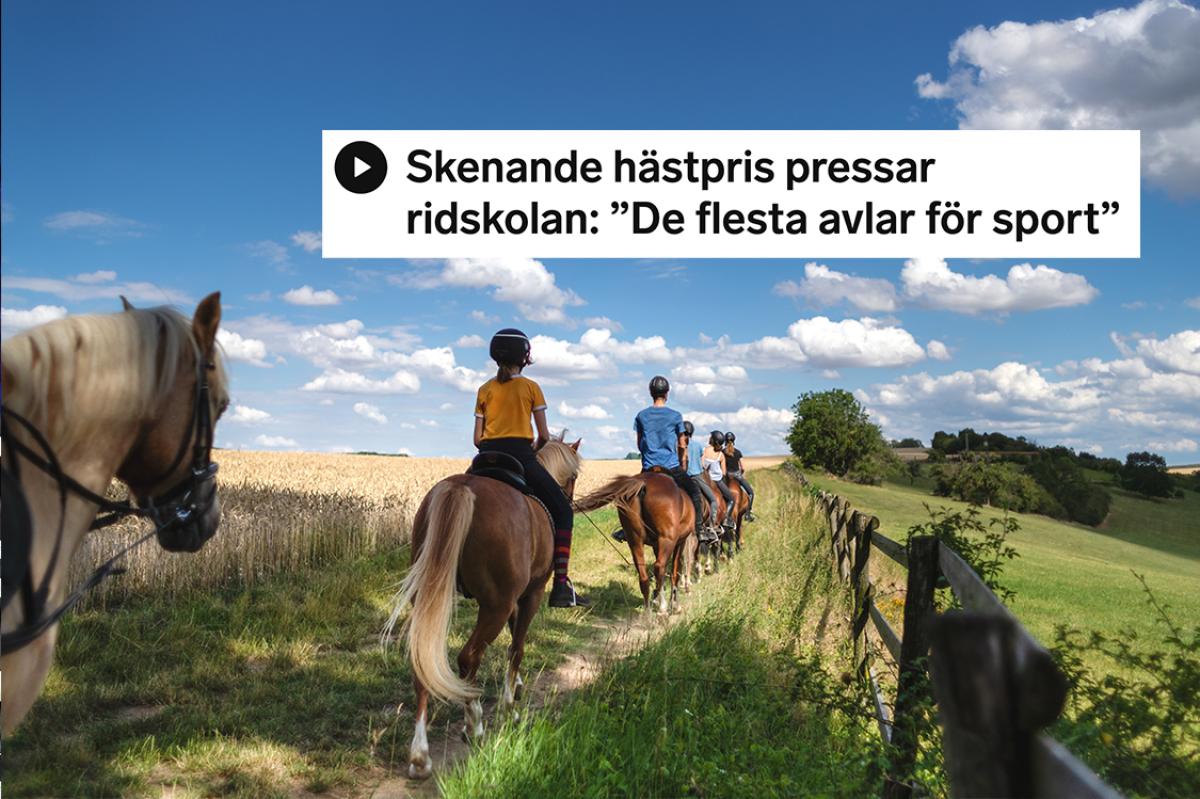 Arkivbild: Adobe Stock