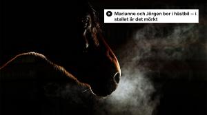 Arkivfoto: Adobe Stock