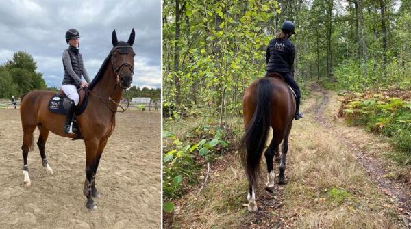 Almida Ericsson tävlar i hoppning, men här berättar hon hur hon brukar träna på hemmaplan. Minst tre dagar i veckan står uteritt på schemat.