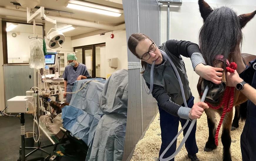 Ingrid Pedersen beskriver en brant lärandekurva under sina praktikår. Foto: Privat