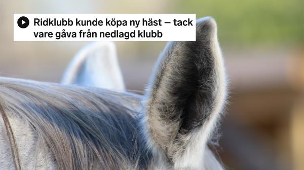 Arkivfoto: Adobe Stock