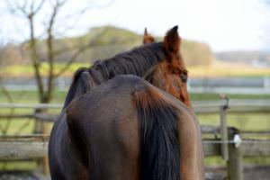 Arkivbild: Adobe Stock