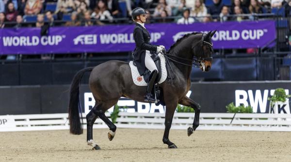 Foto: FEI/Stefan Lafrentz