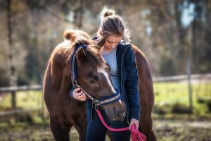 Arkivbild: Adobe Stock