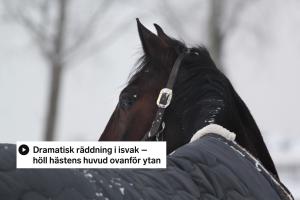 Genrebild. Foto: Adobe stock