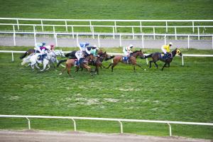 Lopp på Täby Galopp. Foto: Linne Rheborg/ Bildbyrån