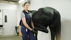 Emma Persson-Sjödin startar nu ett treårigt forskningsprojekt för förbättrad diagnostisering av hälta. Foto: Pressbild