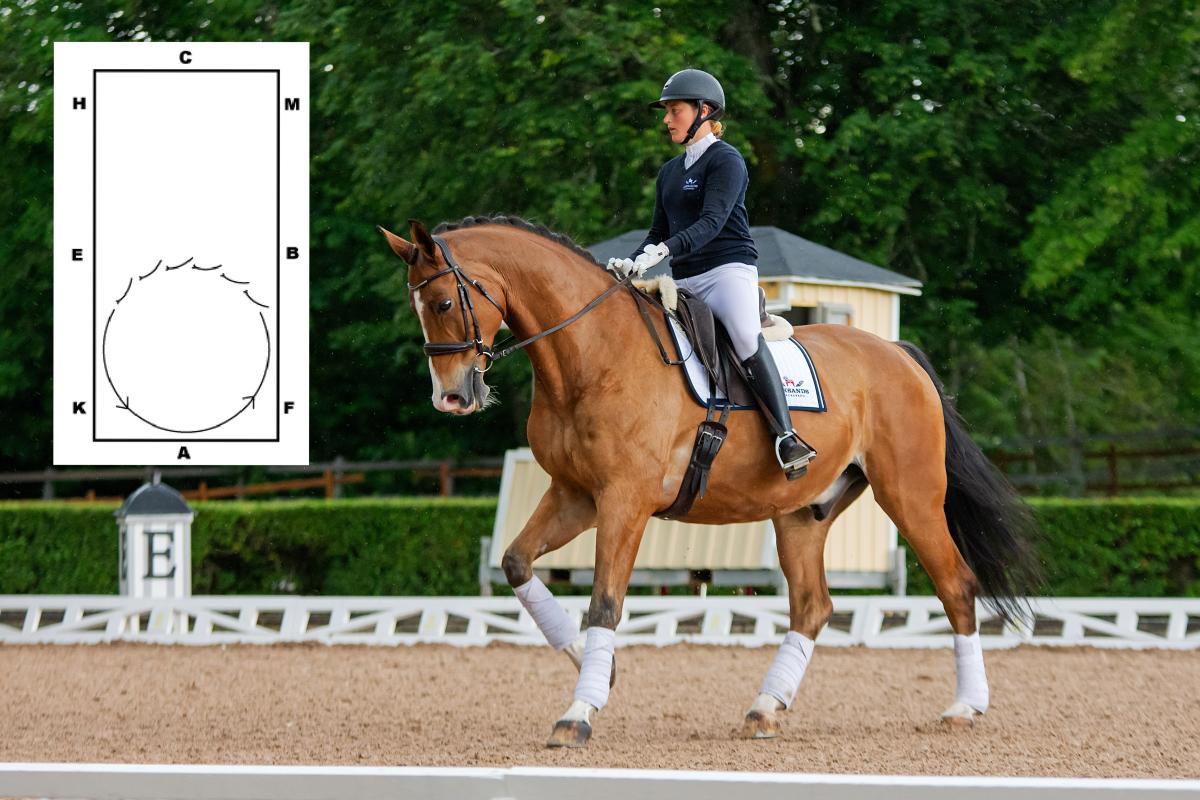 Bra övning för häst som skjuter ut bogen