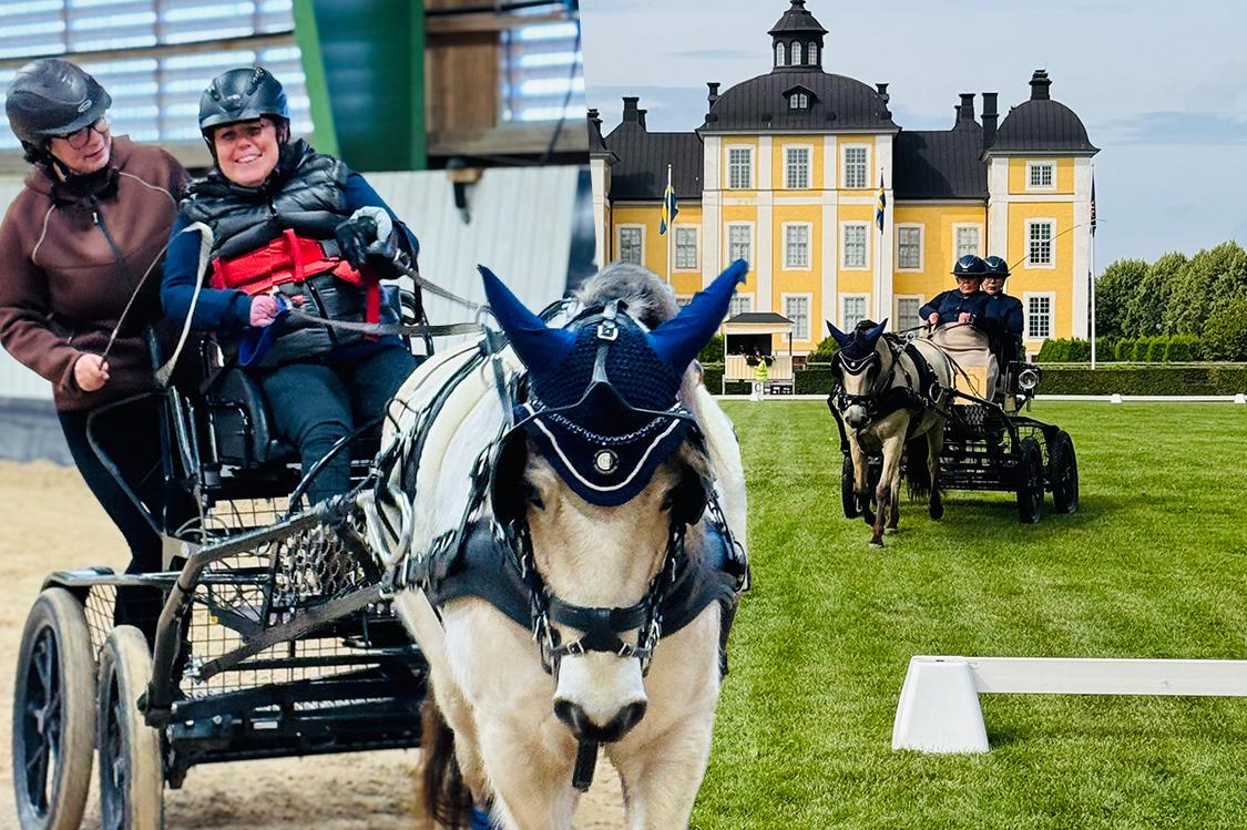 Christine och Skip-Bo. Foto: Privat.