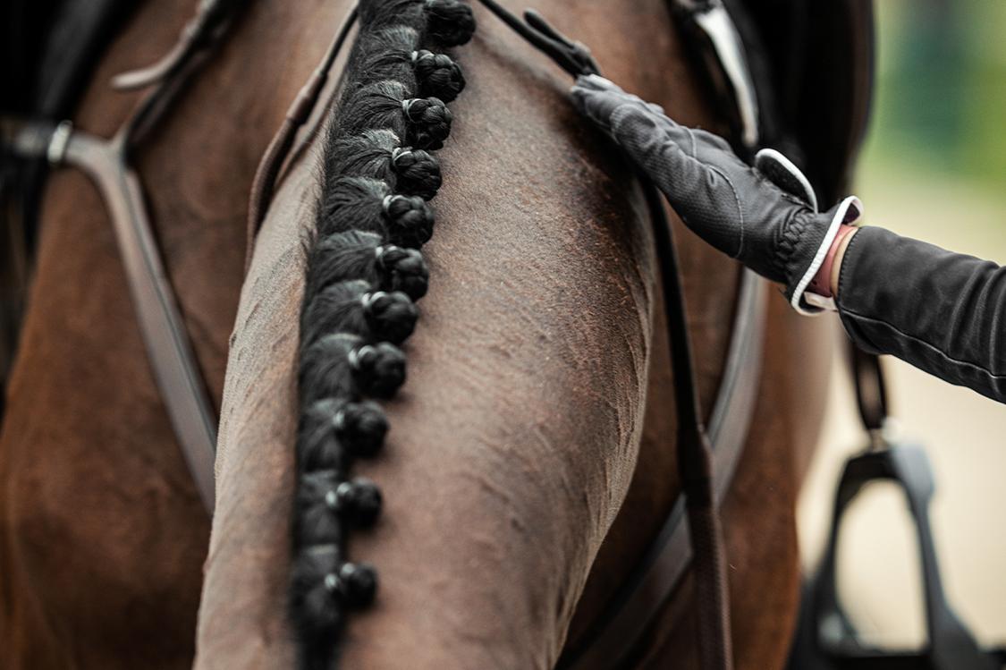 Arkivbild: Adobe Stock