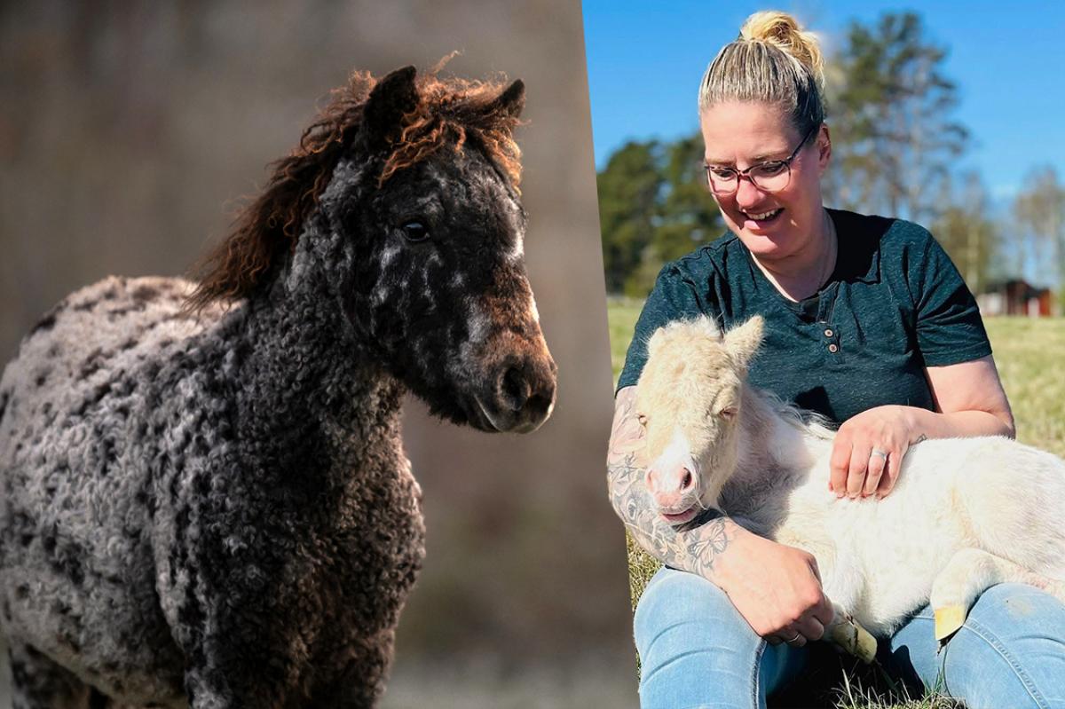 Foto: Erika Halvardsson/ Privat