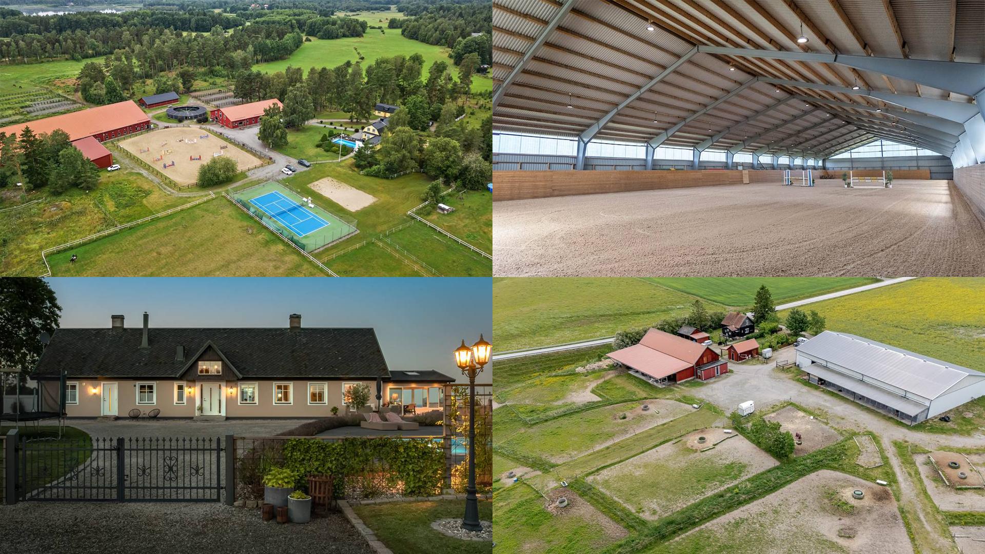 Fem drömgårdar med ridhus