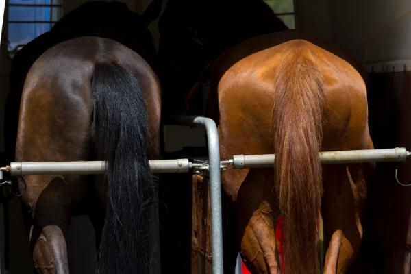 Genrebild som inte har med händelsen att göra. Foto: Adobe stock