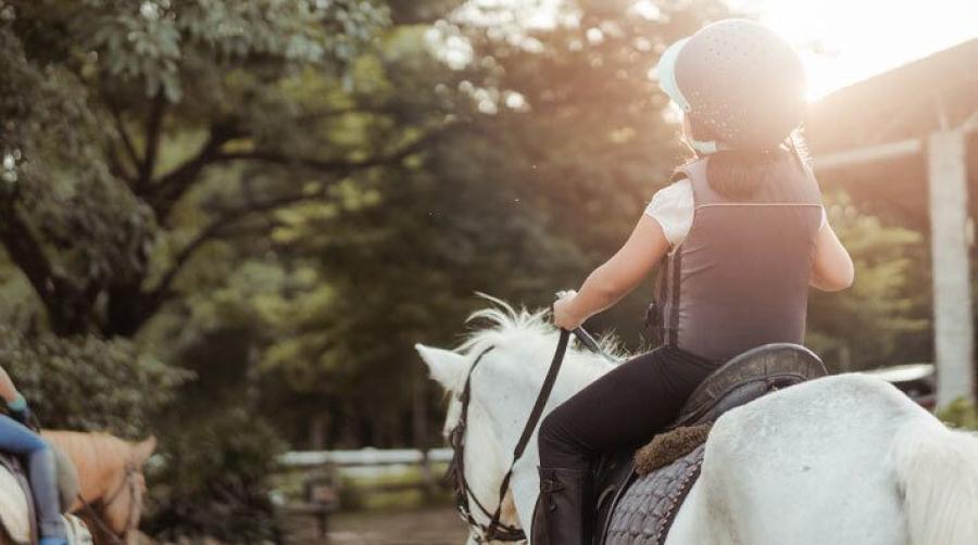 Foto: Adobe Stock