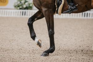 Arkivbild: Ida Lindemann