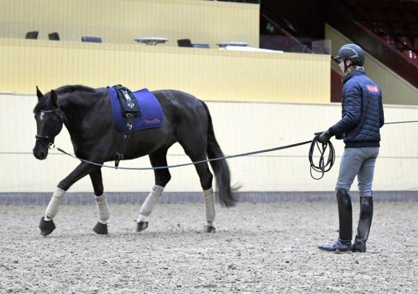 Foto: Linnea Lindahl