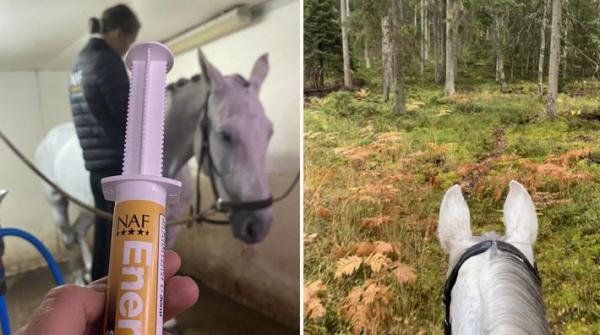 Ida Pelander berättar hur hon tänker kring varierad träning och hur hon lägger upp arbetet för Haldor under en vanlig vecka.