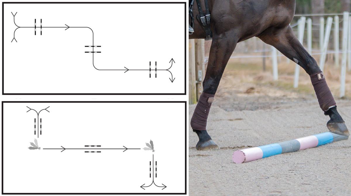 Rid i ett "Z" – få en koordinerad och stark häst