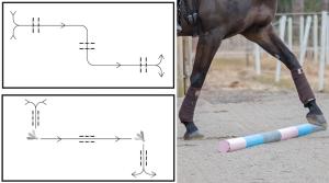 Rid i ett "Z" – få en koordinerad och stark häst