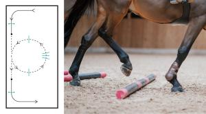 Hitta kontroll och samspelet med hästen i hoppningen