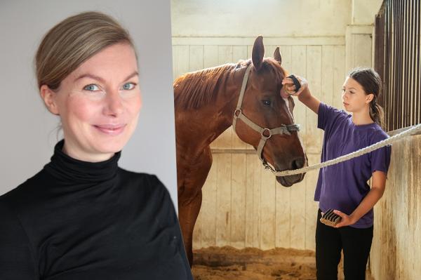 Foto: Jin Lavesso / Adobe Stock