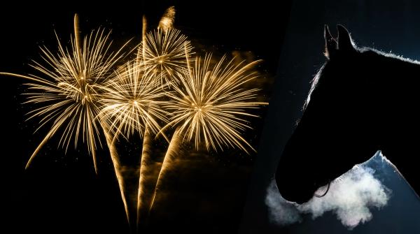 Arkivfoto: Adobe Stock