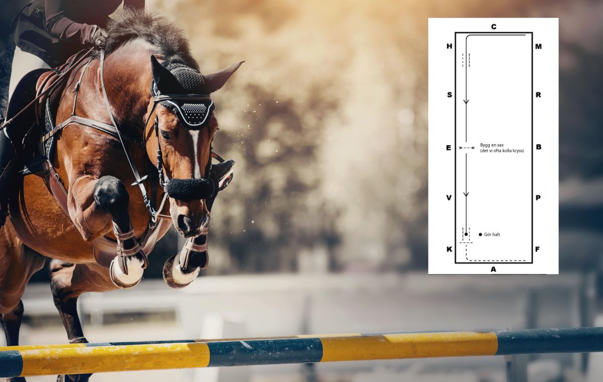 Hoppövning för rakriktning och balans