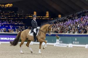 Justin Verboomen och Djembe de Hus Sold. Foto: FEI/Dirk Caremans
