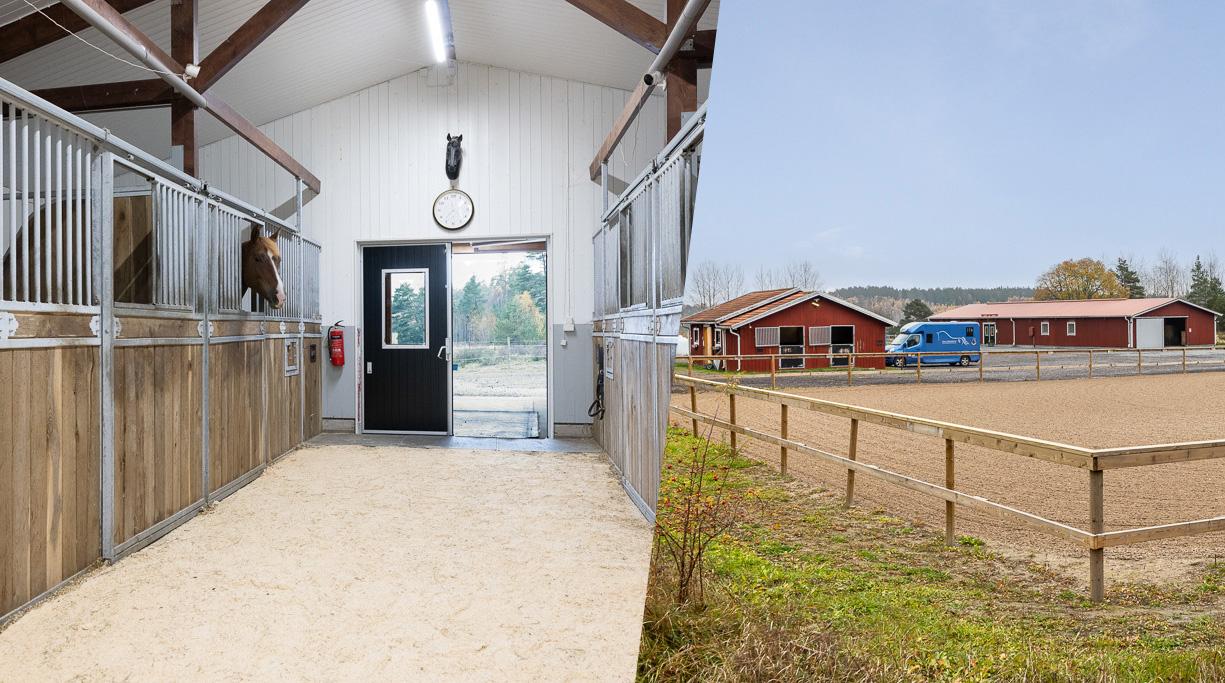 Hästgård i Mälardalen med stora möjligheter