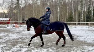 Marie Karlberg och Møllegards Romeo. Foto: Privat