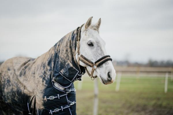 Arkivbild: Ida Lindemann