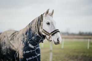 Arkivbild: Ida Lindemann