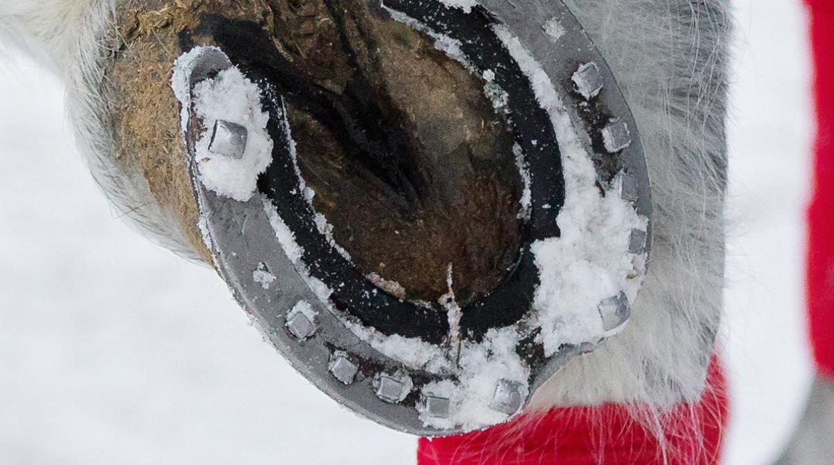 Arkivfoto: Adobe Stock