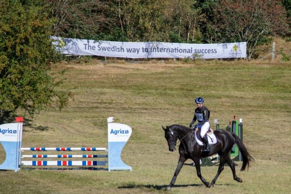 På bilden HM Desmondo (SWB) uppfödare: Helena Karlsson, ägare: Helena och Hedvig Karlsson med ryttare Aminda Ingulfsson. Foto: Jenny Olsson