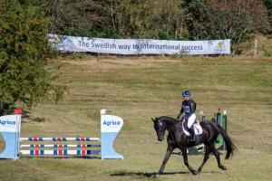 På bilden HM Desmondo (SWB) uppfödare: Helena Karlsson, ägare: Helena och Hedvig Karlsson med ryttare Aminda Ingulfsson. Foto: Jenny Olsson