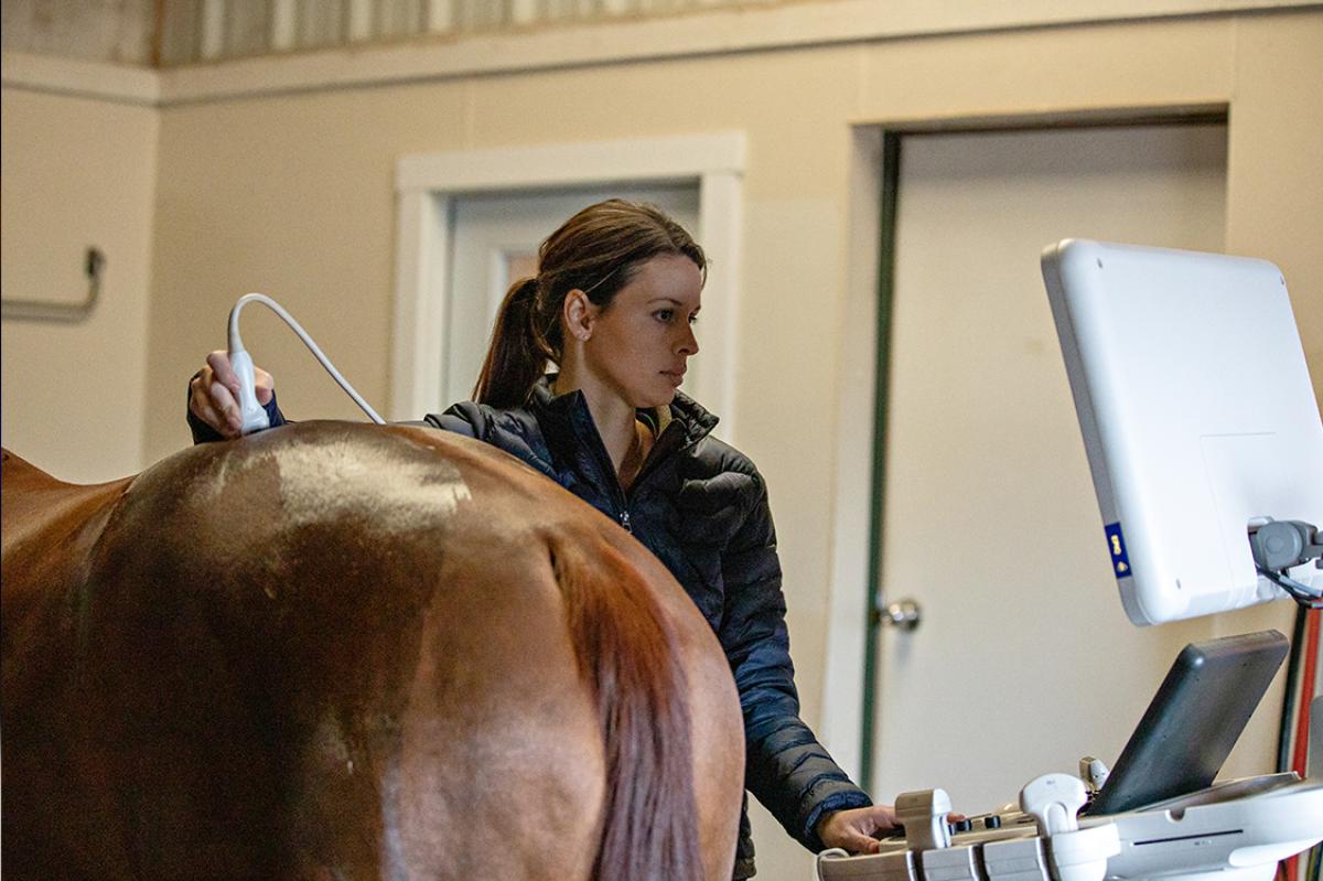 Arkivbild: Adobe Stock