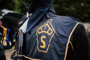 Arkivbild: Ida Lindemann