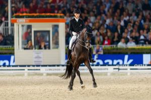 Blue Hors Zack med ryttaren Daniel Backmann Andersen. Foto: Tomas Holcbecher